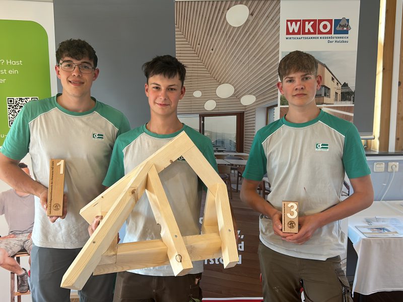 Drei Lehrlinge der Graf-Holztechnik zeigen deren Pokale sowie das Bauwerks welches im Rahmen des Landeslehrlingswettbewerb der Zimmerer erarbeitet wurde